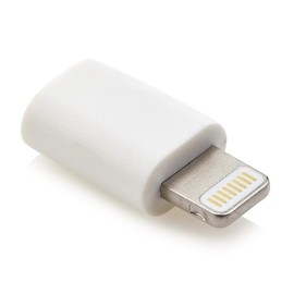 product-13356.jpg