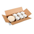 product-11634.jpg