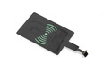 product-20520.jpg
