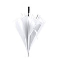 product-21432.jpg